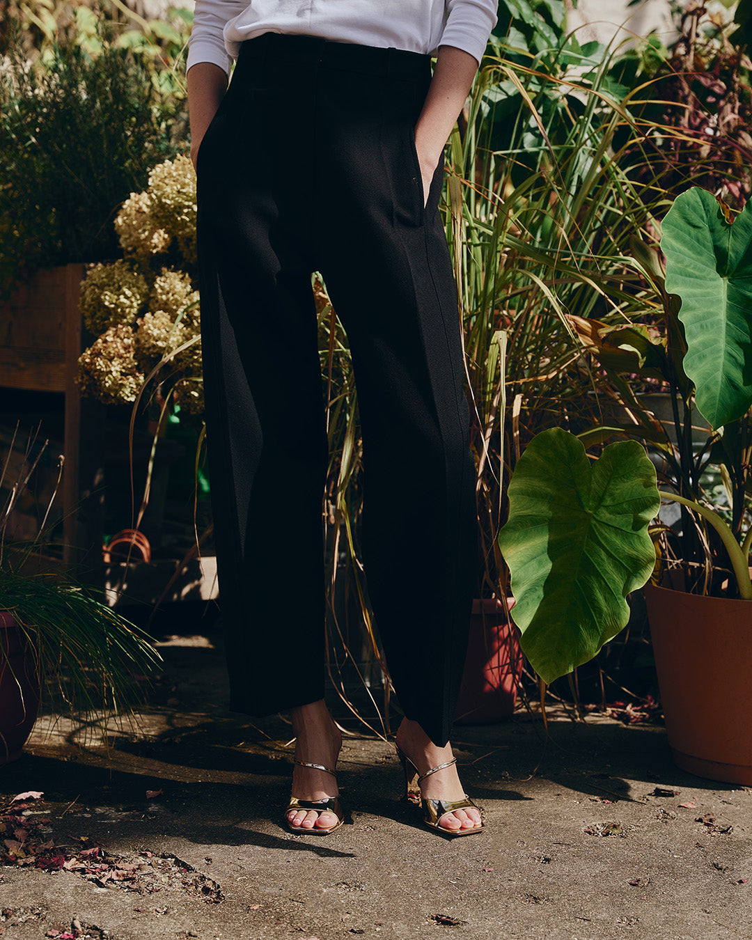 ARNO SANDAL